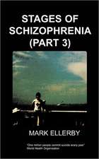 Stages of Schizophrenia, the (Part 3)