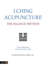 I Ching Acupuncture: Clinical Applications of the Ba Gua and I Ching