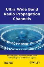 Ultra–Wideband Radio Propagation Channels: A Pract ical Approach