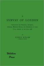 A Survey of London