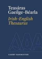 Teasáras Gaeilge-Béarla Irish-English Thesaurus