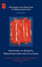 Emotions in Groups, Organizations and Cultures