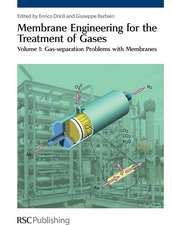 Membrane Engineering for the Treatment of Gases 2 Volume Set