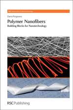 Polymer Nanofibers: Building Blocks for Nanotechnology