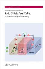 Solid Oxide Fuel Cells