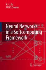 Neural Networks in a Softcomputing Framework