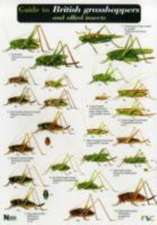 Guide to British Grasshoppers and Allied Insects