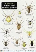 A Guide to House and Garden Spiders