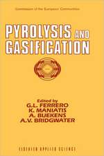 Pyrolysis and Gasification