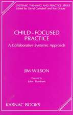 Child-Focused Practice: A Collaborative Systemic Approach