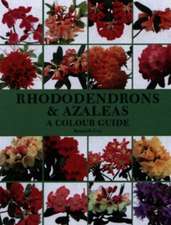 Rhododendrons & Azaleas: A Colour Guide