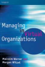 Managing in Virtual Organizations