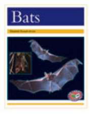 Bats PM Non Fiction Animal Facts Level 22 Nocturnal Animals Gold