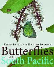 Butterflies of the South Pacific