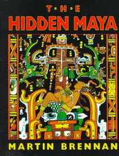 The Hidden Maya