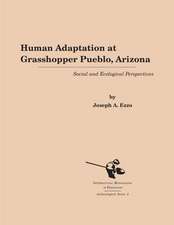 Human Adaptation at Grasshopper Pueblo, Arizona: Social and Ecological Perspectives