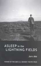 Asleep in the Lightning Fields