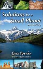 Solutions for a Small Planet, Volume Two