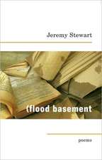 Flood Basement