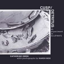 Cusp/detritus: an experiment in alleyways