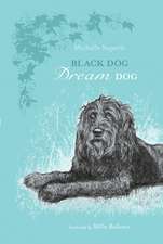 Black Dog Dream Dog