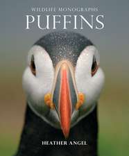 Puffins