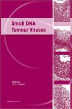 Small DNA Tumour Viruses