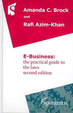 E Business: Practical Guide to the Laws (Second Edition)