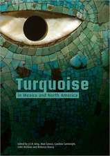 Turquoise in Mexico and North America: Science, Conservation, Culture and Collections