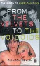 From The Velvets To The Voidoids: The Birth of American Punk Rock