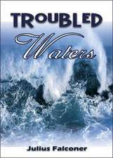 Troubled Waters