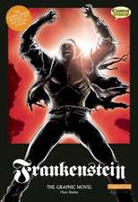 Frankenstein: The Graphic Novel