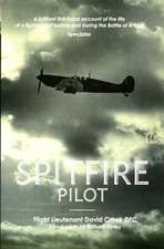 Crook, D: Spitfire Pilot