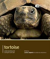 Tortoise: Understanding and Caring for Your Pet