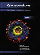 Cytomegaloviruses: From Molecular Pathogenesis to Intervention (Volume I)