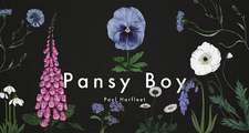 Pansy Boy