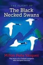 the flight of The Black Necked Swans