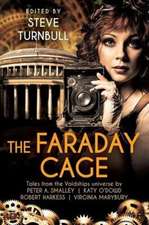 The Faraday Cage