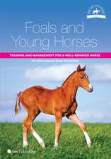 Foals and Young Horses