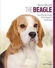 Beagle