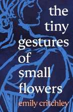 The Tiny Gestures of Small Flowers