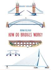 Belyaev, R: How Do Bridges Work?