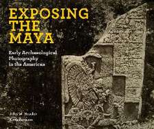 Exposing the Maya