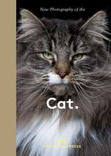 Cat.: The best new photography of cats.