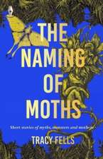 The Naming of Moths