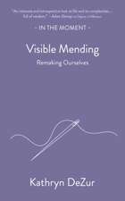 Visible Mending