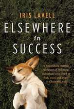 Elsewhere in Success