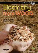 Electricity from Wood