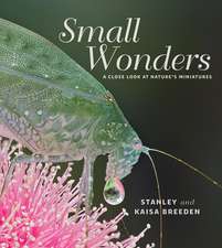 Small Wonders: A Close Look at Nature's Miniatures