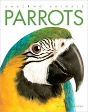 Parrots